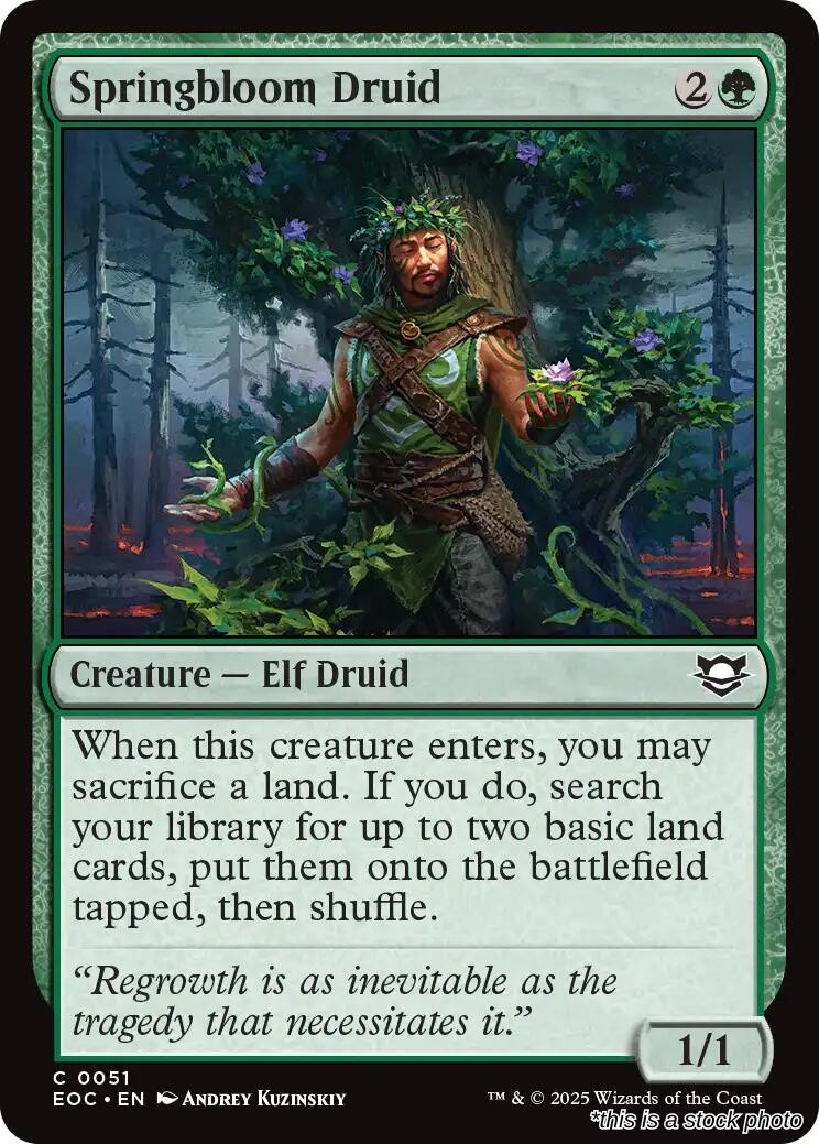 Springbloom Druid