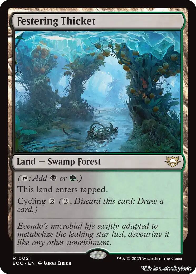 Festering Thicket