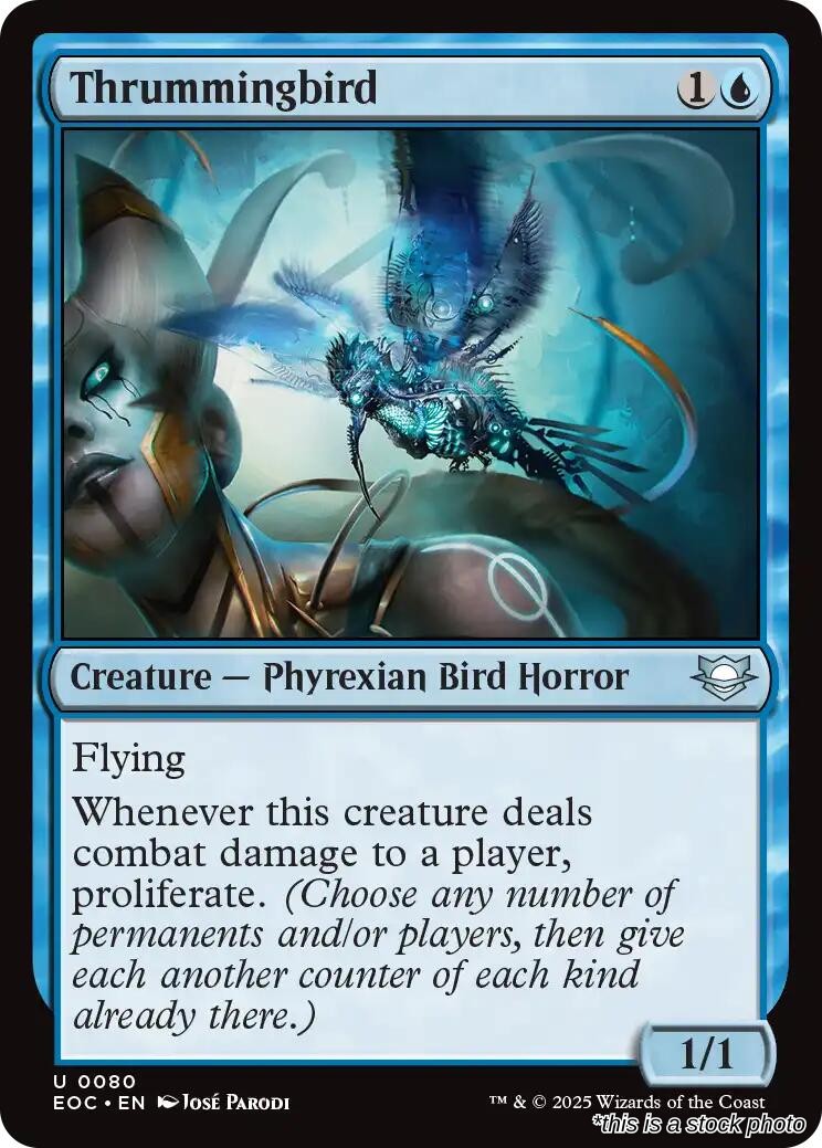 Thrummingbird