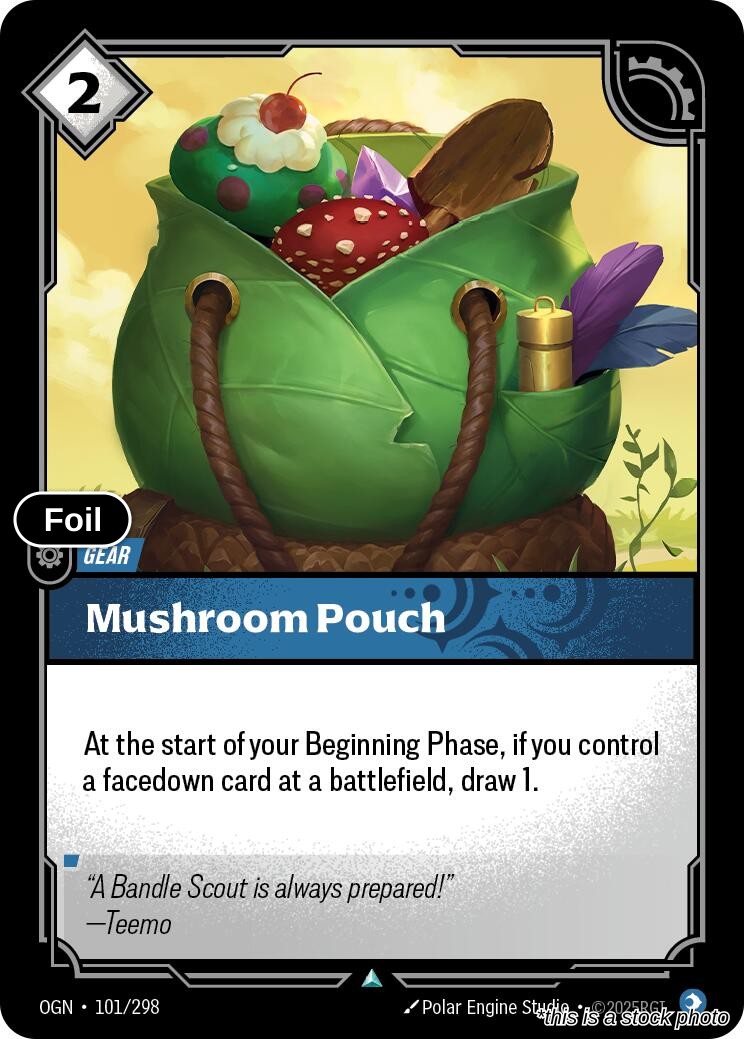 Mushroom Pouch