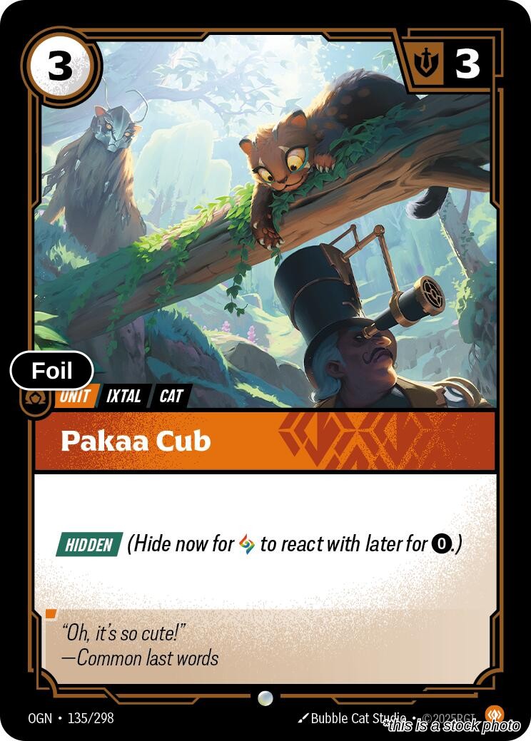 Pakaa Cub