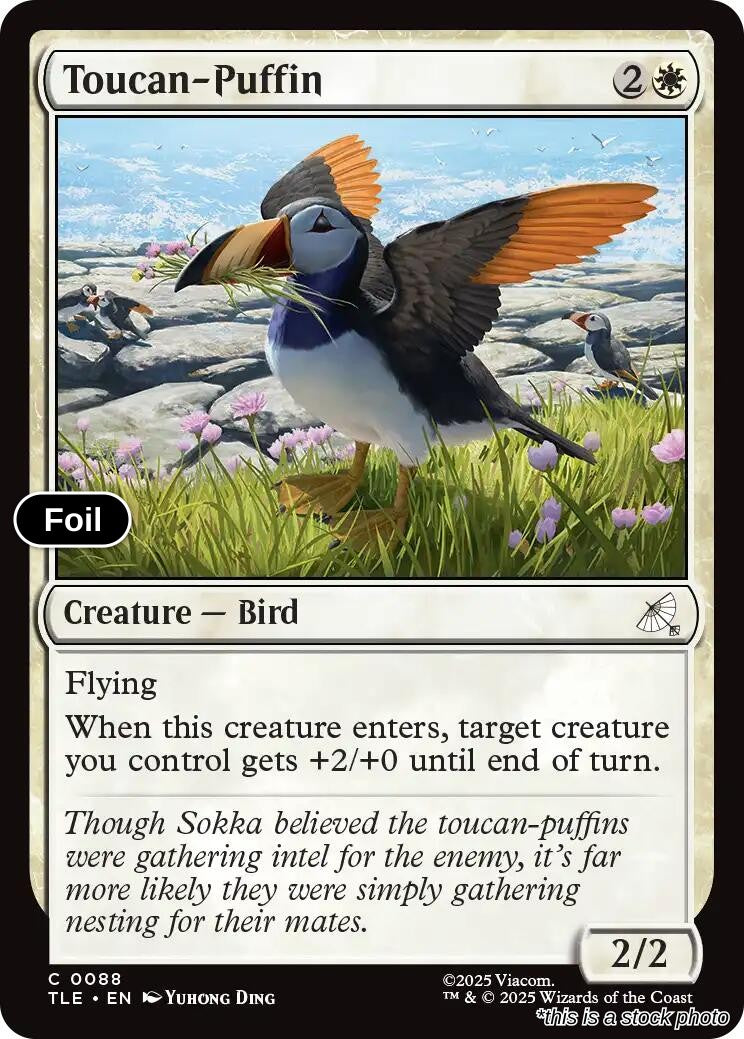 Toucan-Puffin