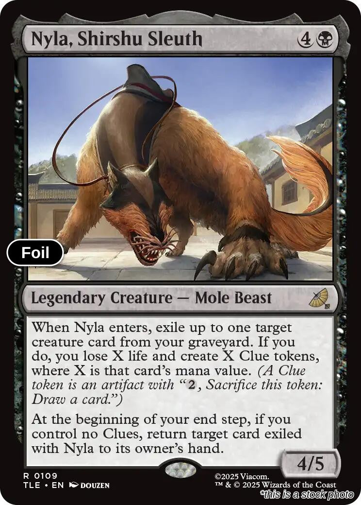 Nyla, Shirshu Sleuth