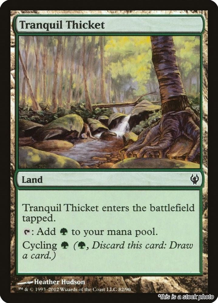 Tranquil Thicket