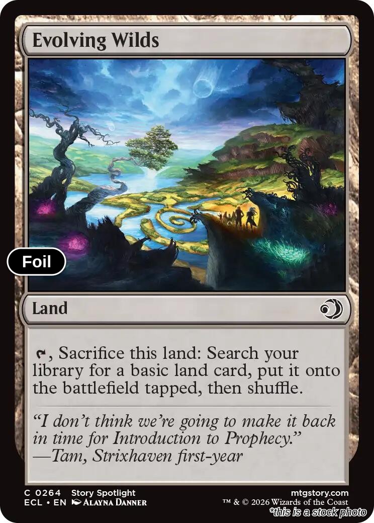 Evolving Wilds