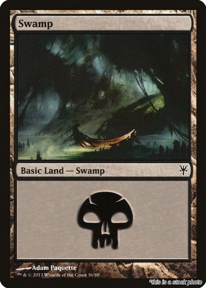 Swamp (36)