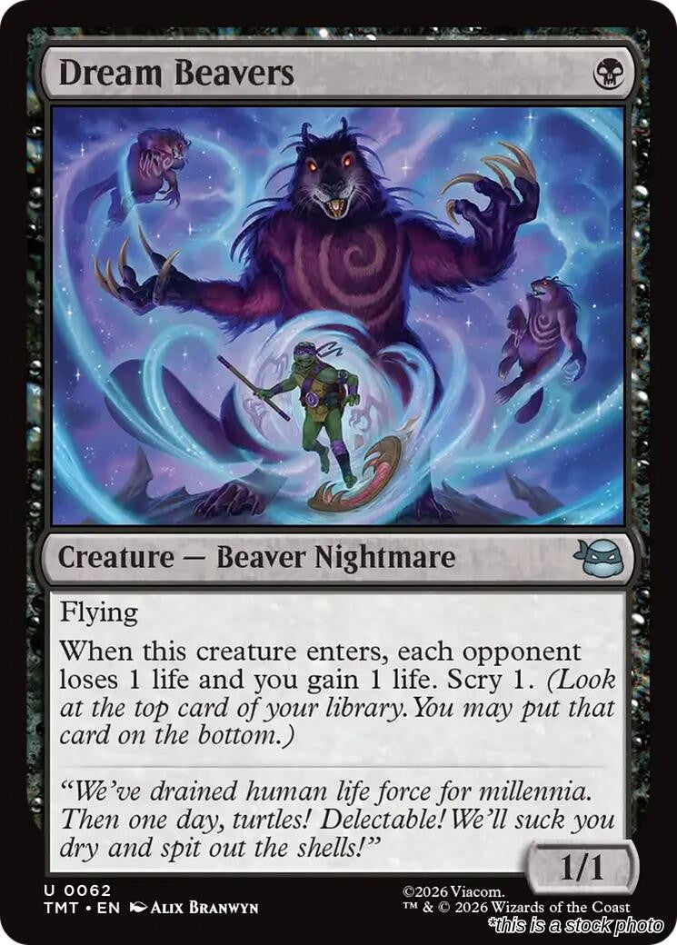 Dream Beavers