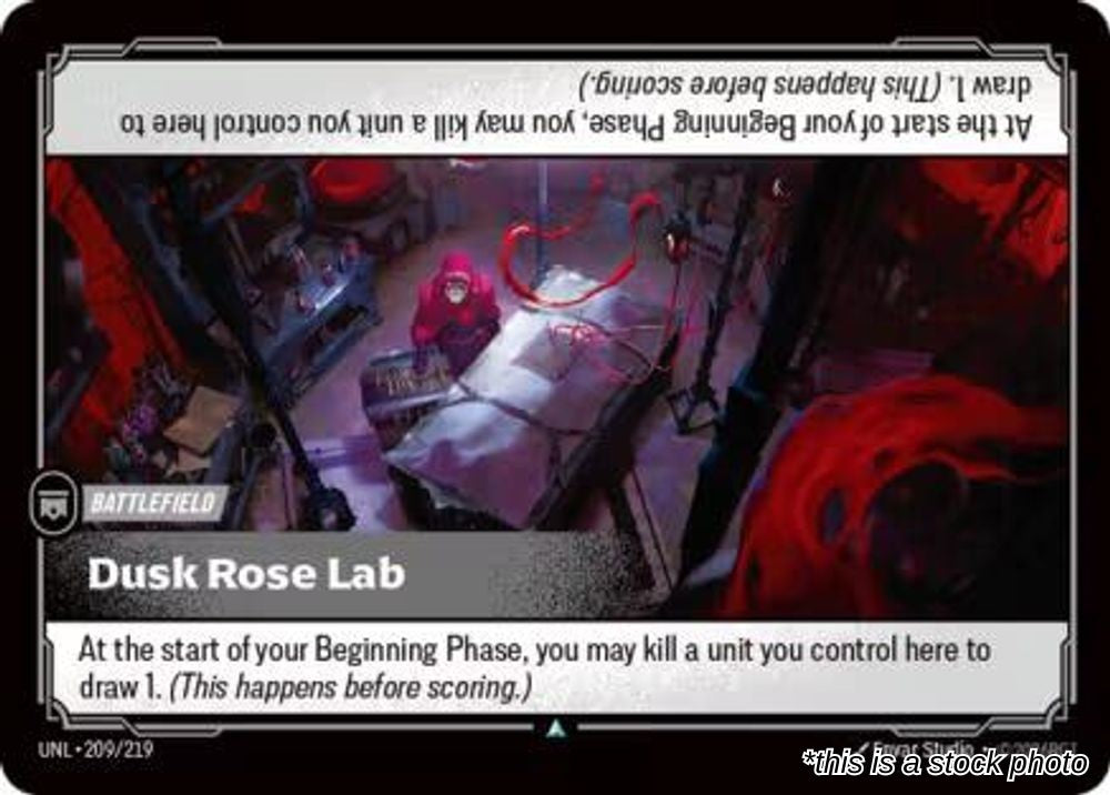 Dusk Rose Lab