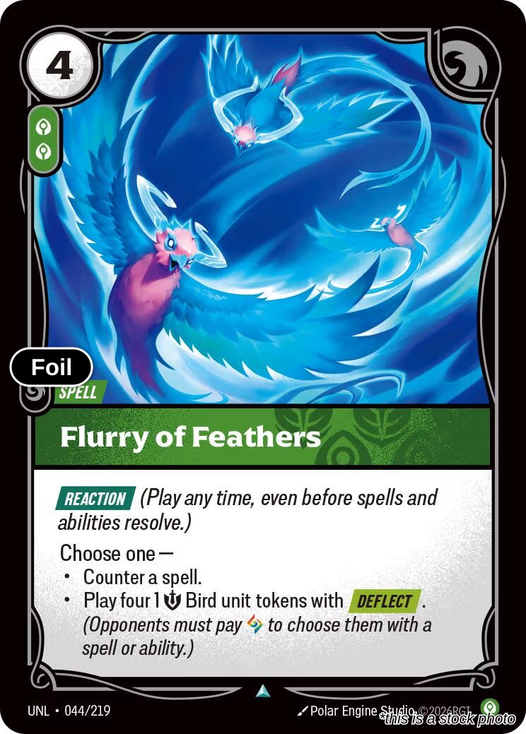 Flurry of Feathers
