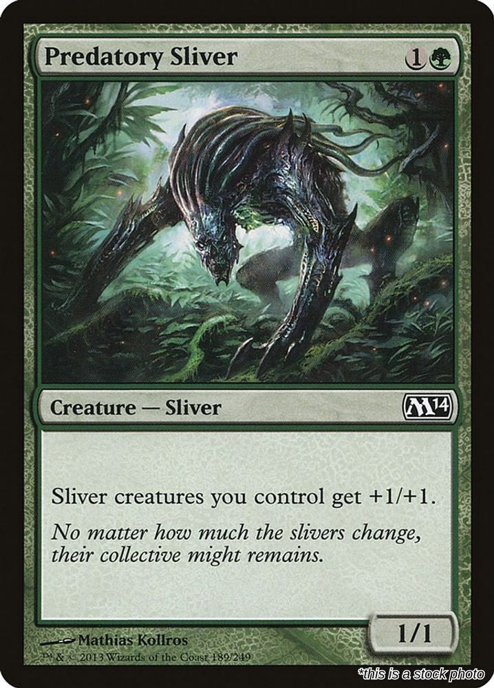 Predatory Sliver