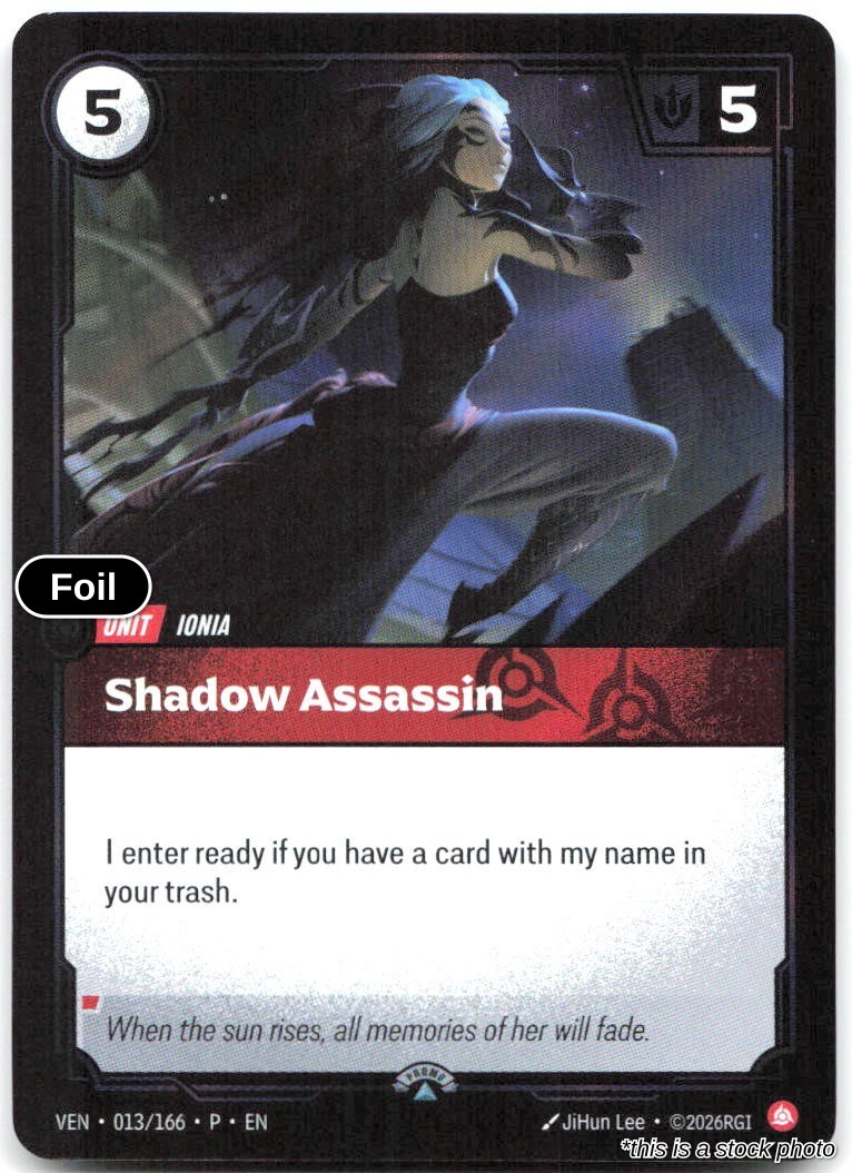 Shadow Assassin