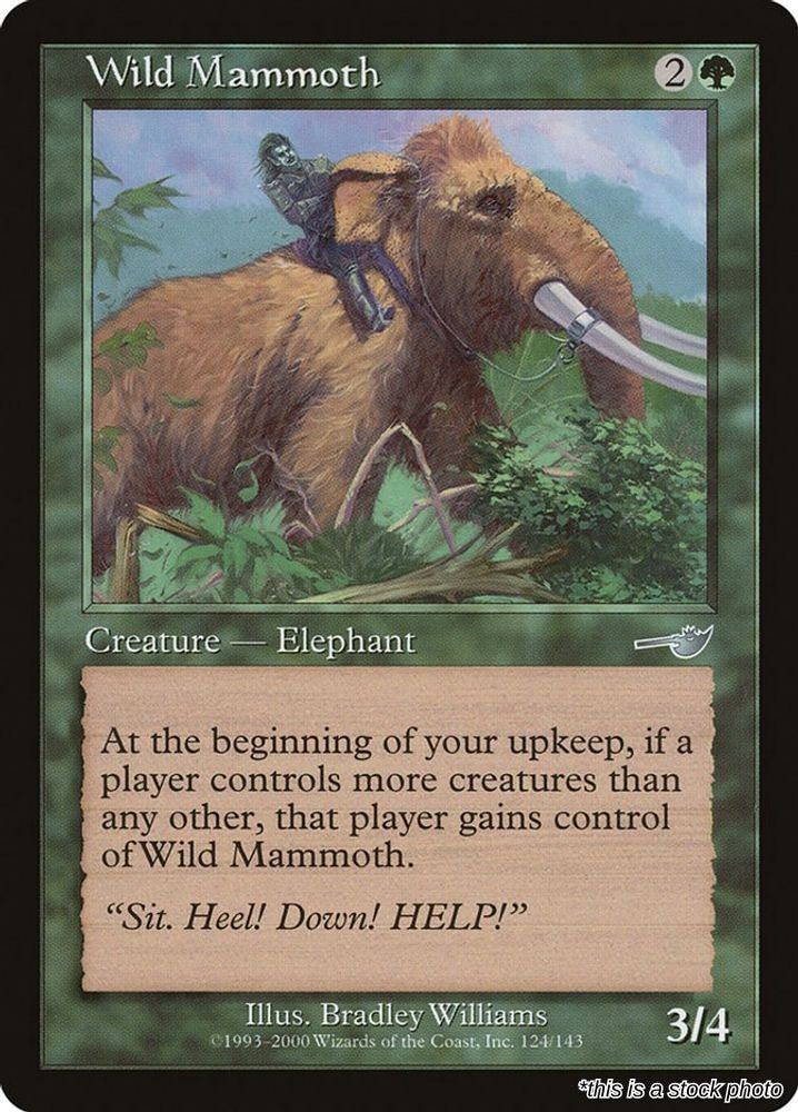 Wild Mammoth