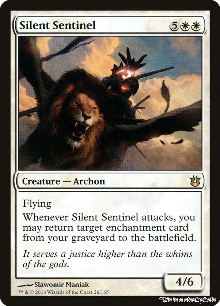 Silent Sentinel