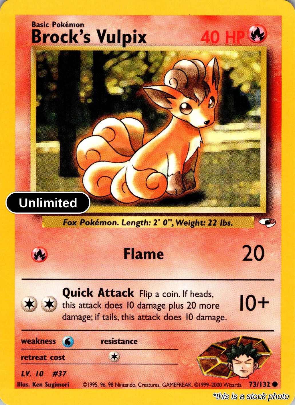 Brock's Vulpix