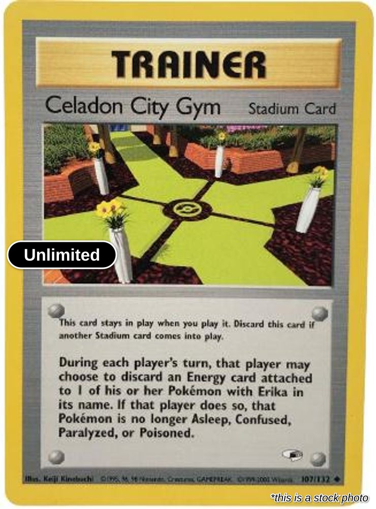 Celadon City Gym
