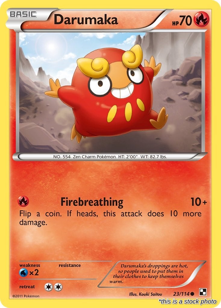 Darumaka (23)