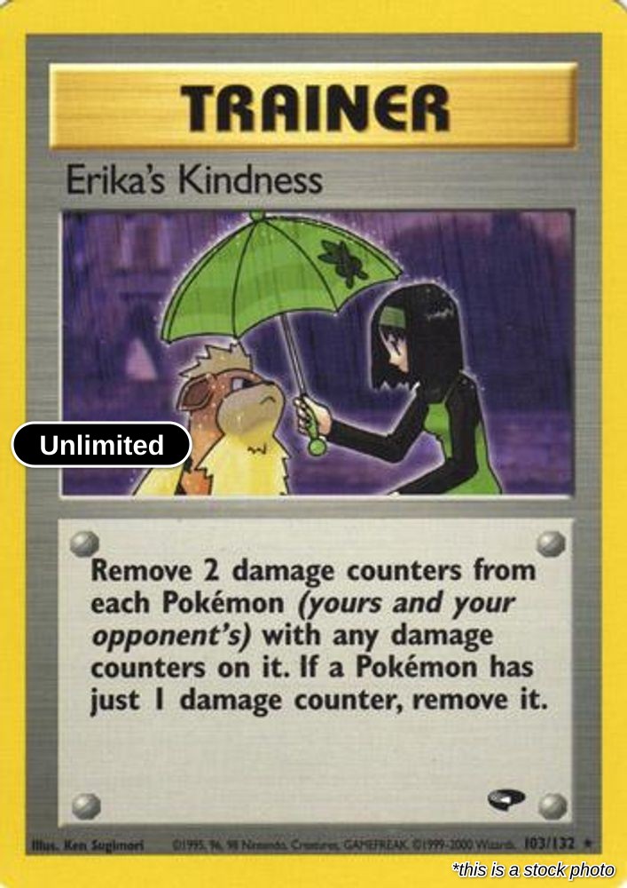 Erika's Kindness