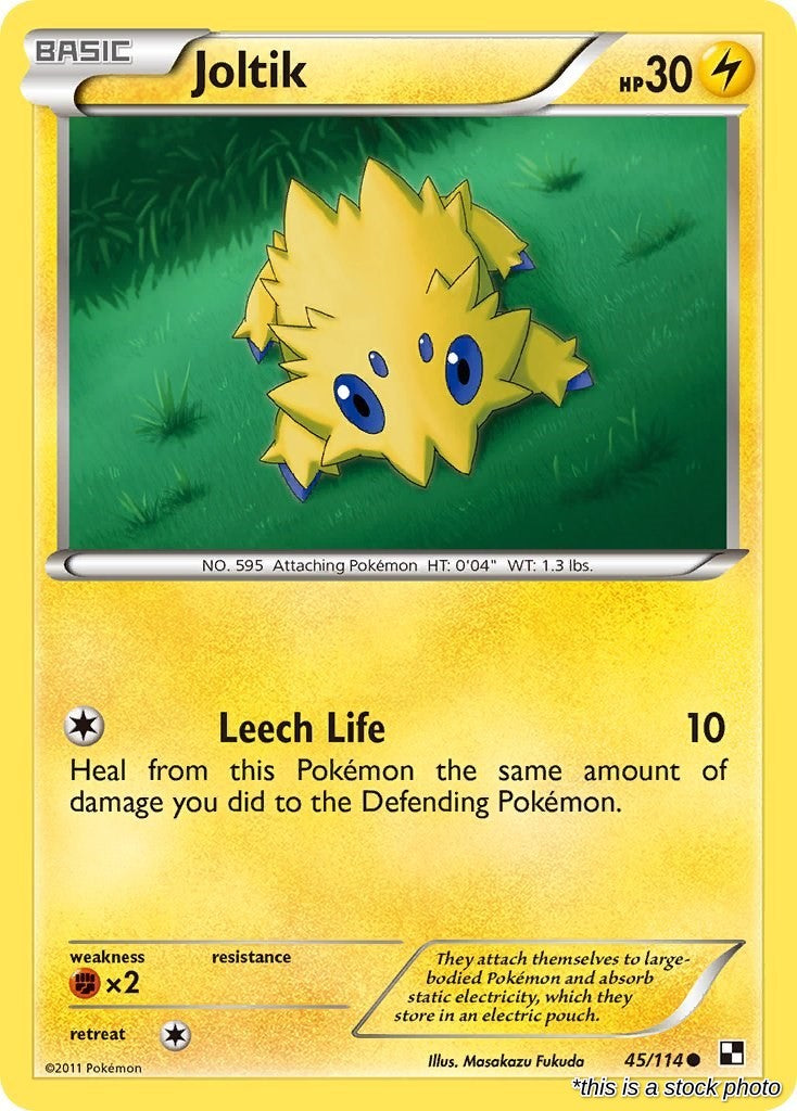 Joltik (45)