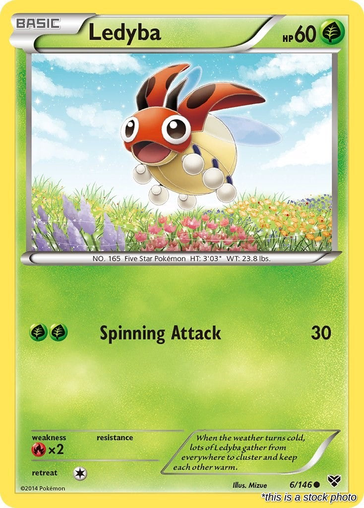 Ledyba