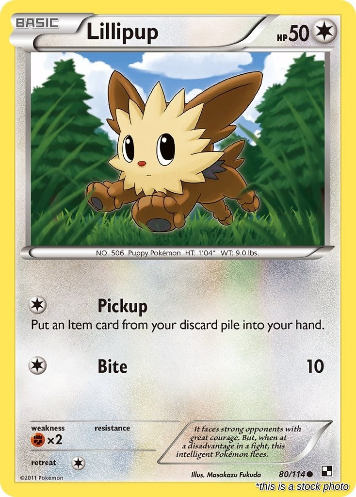 Lillipup (80)