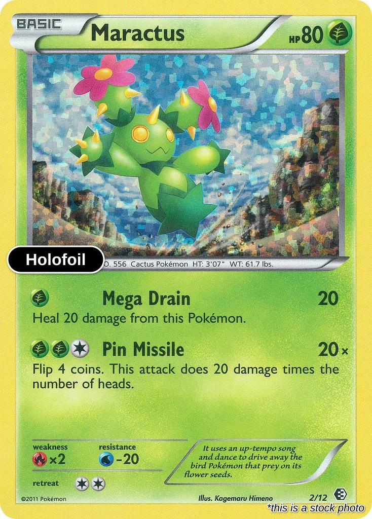 Maractus - 2/12