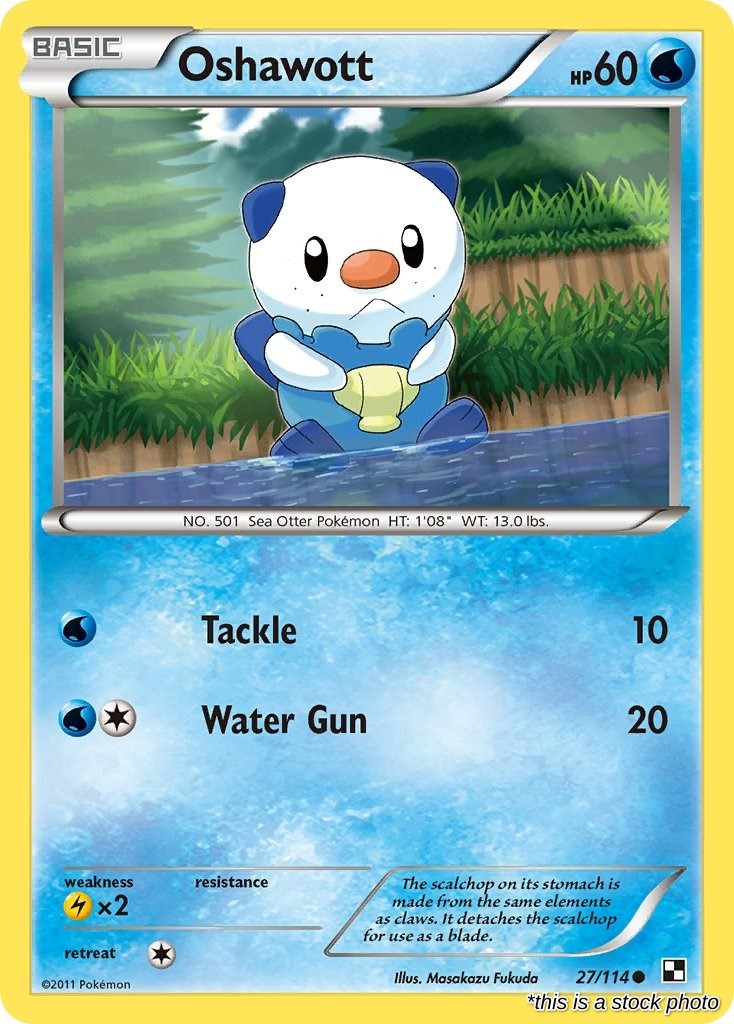 Oshawott (27)