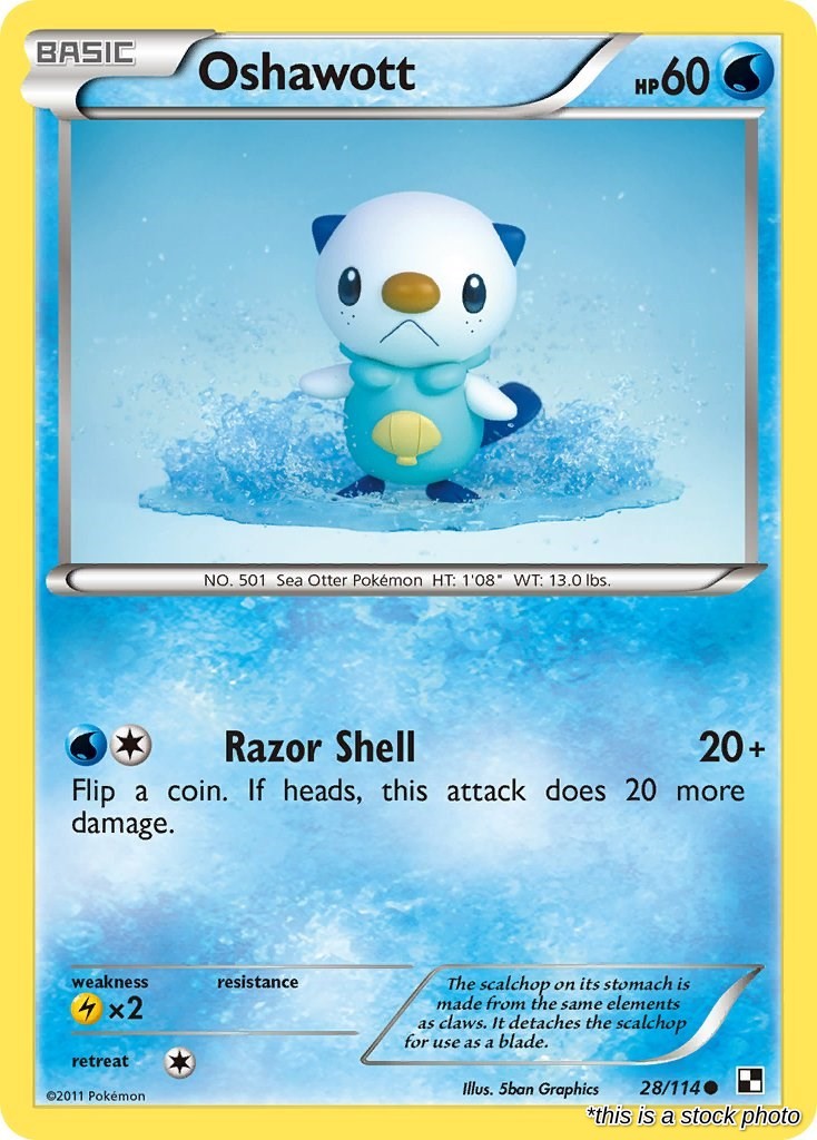 Oshawott (28)