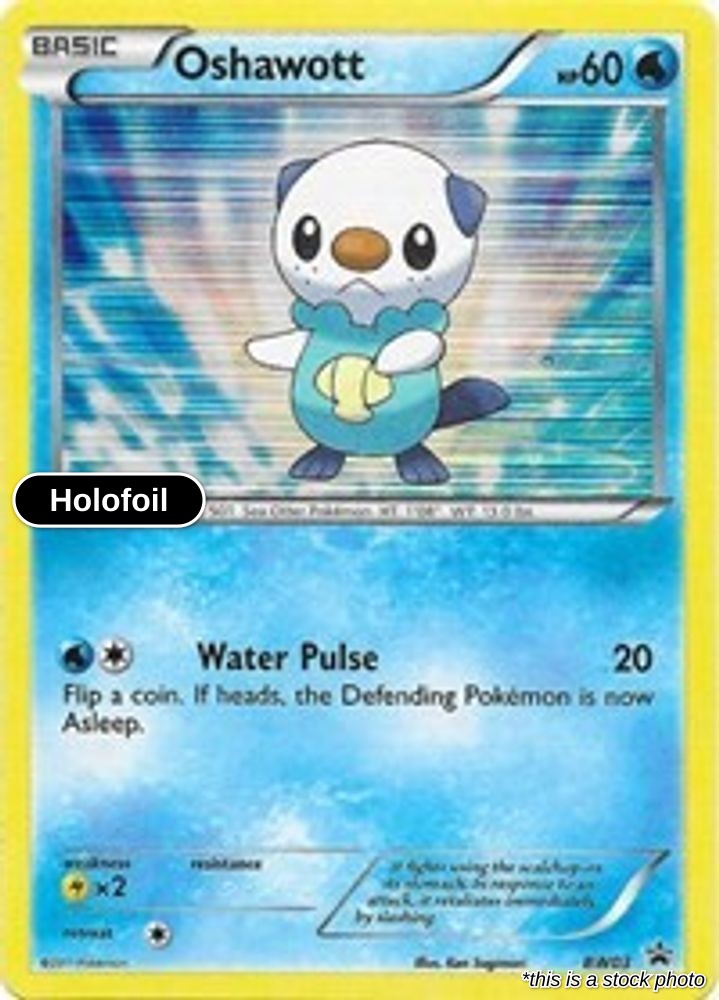 Oshawott - BW03