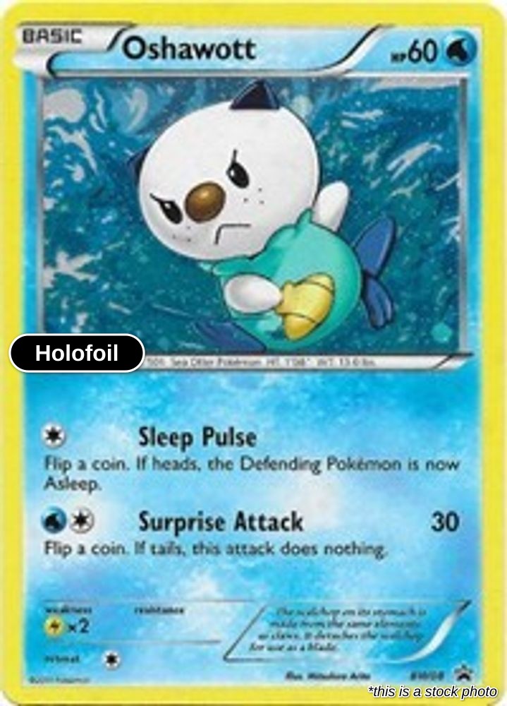 Oshawott - BW08