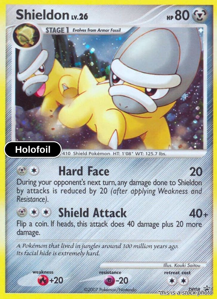 Shieldon - DP08