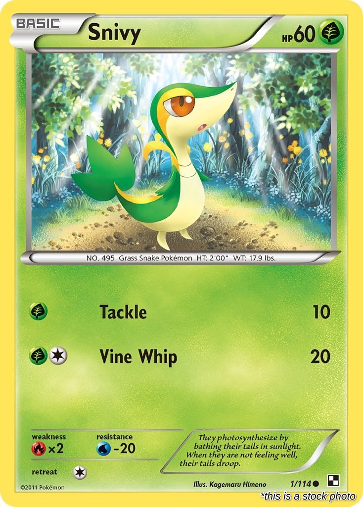 Snivy (1)