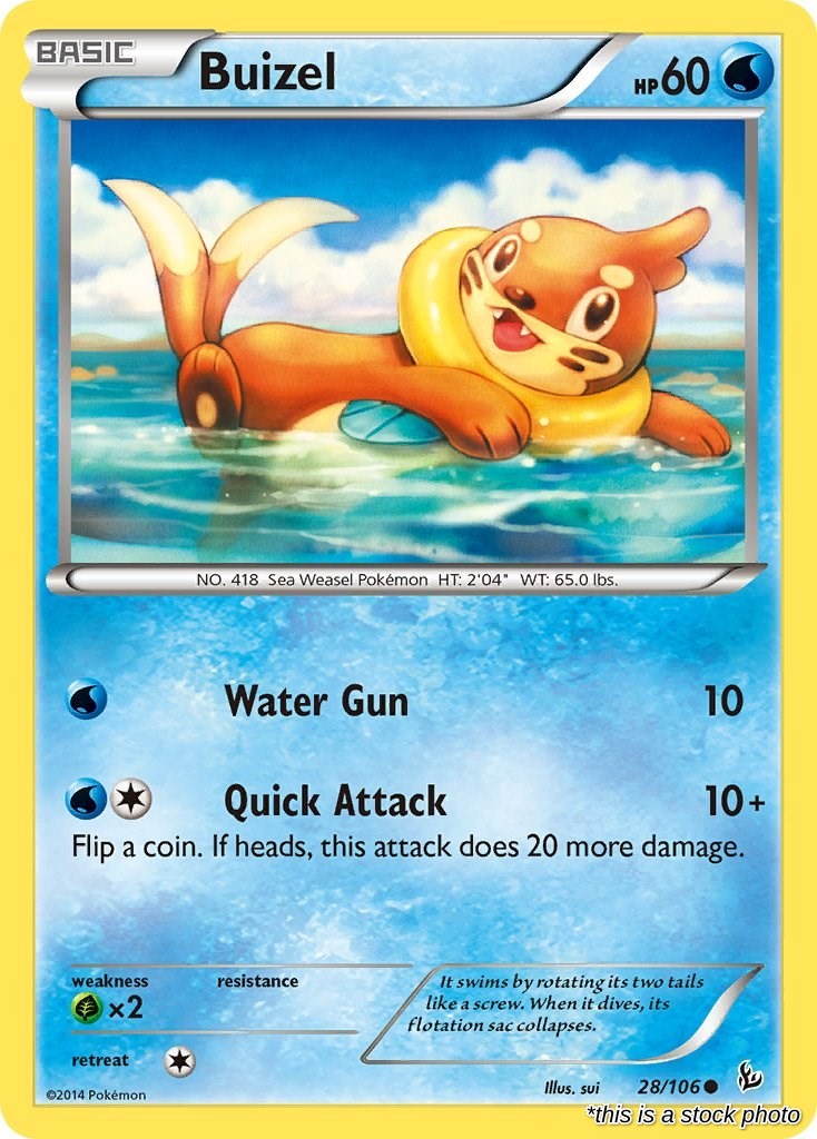 Buizel