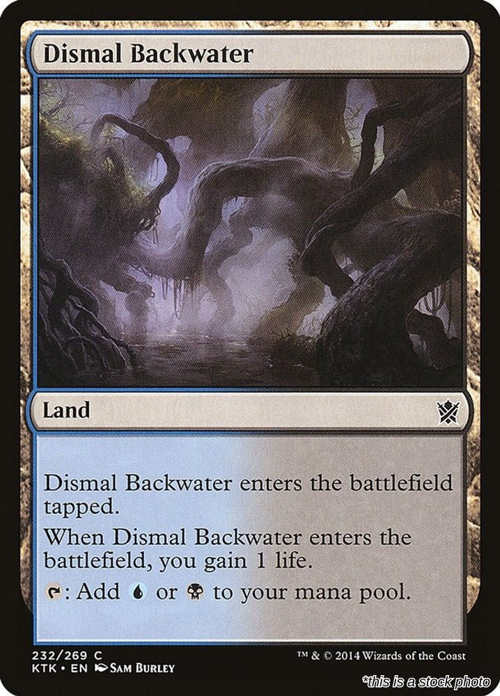 Dismal Backwater