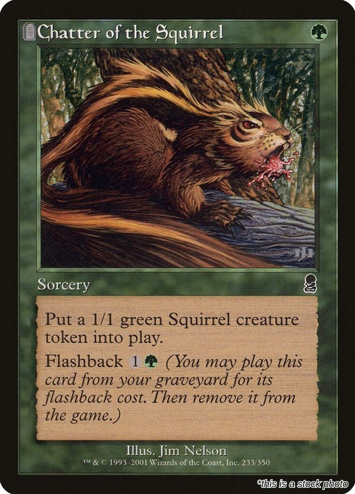 Chatter of the Squirrel