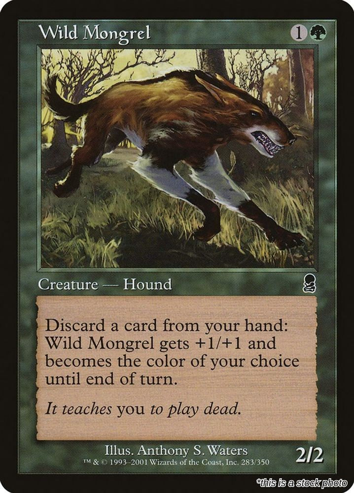 Wild Mongrel