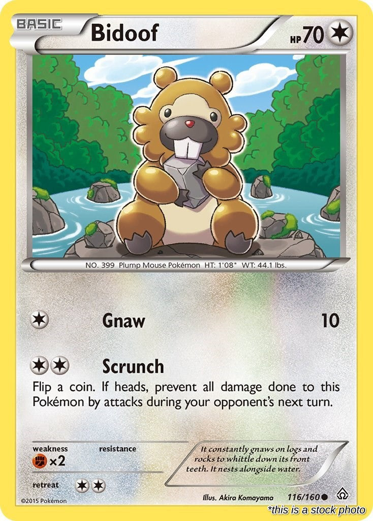 Bidoof