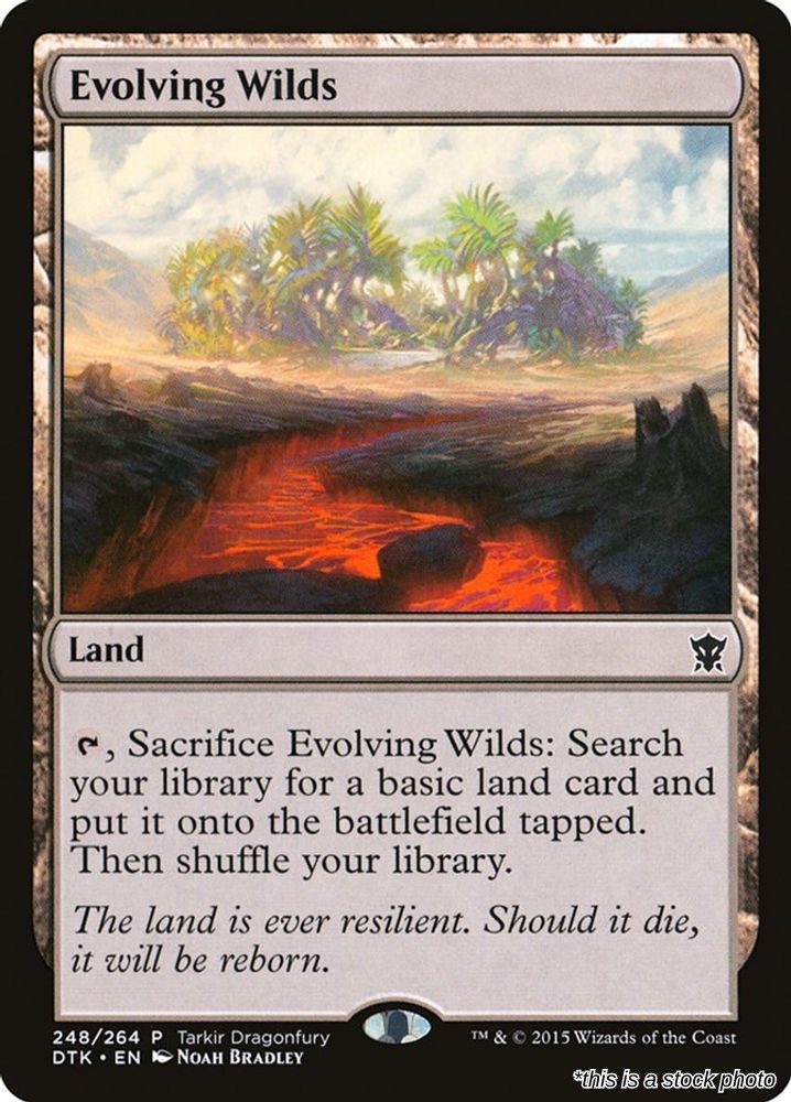 Evolving Wilds