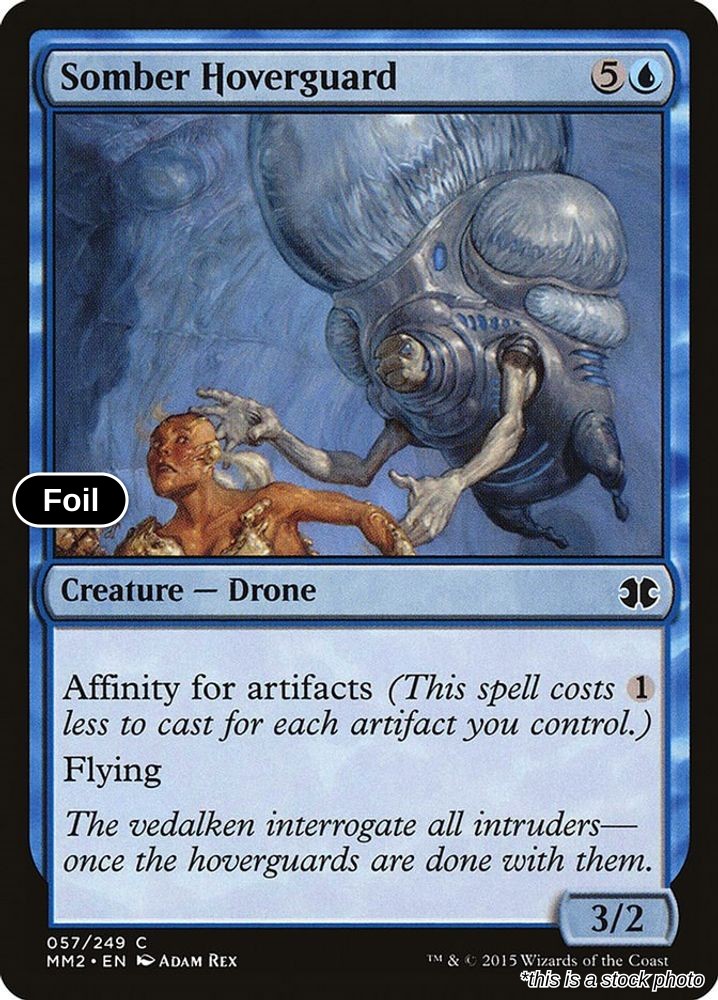 Somber Hoverguard